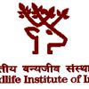 wii-wildlife-institute-of-india