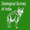 zsi-zoological-survey-india
